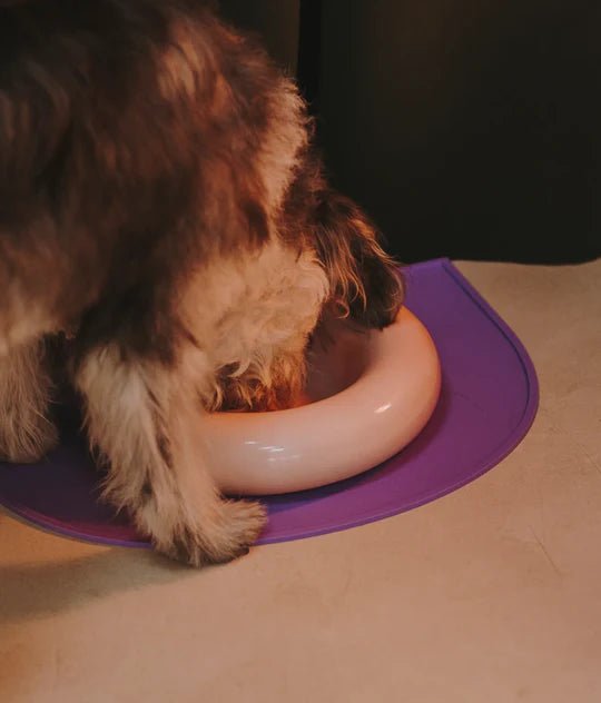 Hotdog | Gamelle en céramique artisanale jaune pour chat - Jean - Poil - Rose