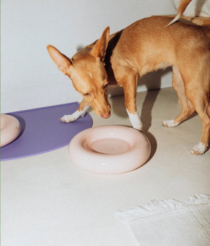 Hotdog | Gamelle en céramique artisanale jaune pour chat - Jean - Poil - Rose