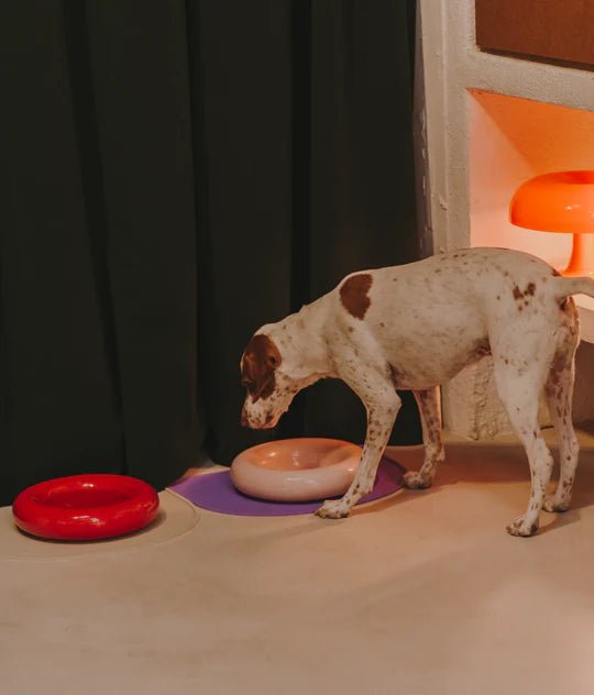 Hotdog | Gamelle en céramique artisanale jaune pour chat - Jean - Poil - Rose