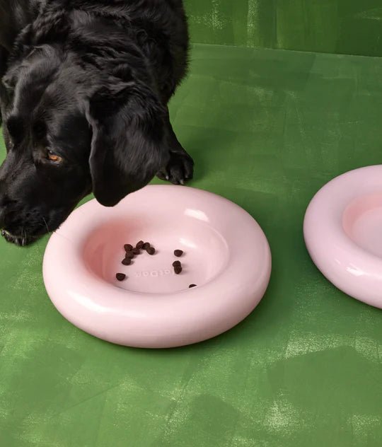 Hotdog | Gamelle en céramique artisanale jaune pour chat - Jean - Poil - Rose