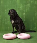 Hotdog | Gamelle en céramique artisanale jaune pour chat - Jean - Poil - Rose