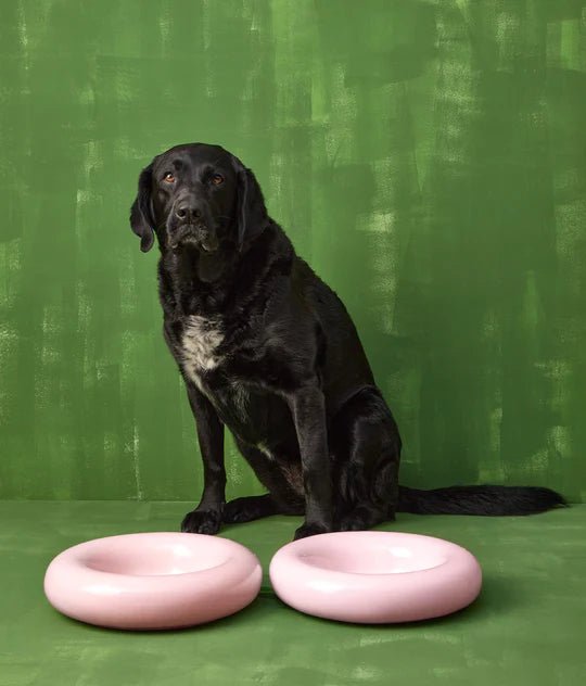 Hotdog | Gamelle en céramique artisanale jaune pour chat - Jean - Poil - Rose