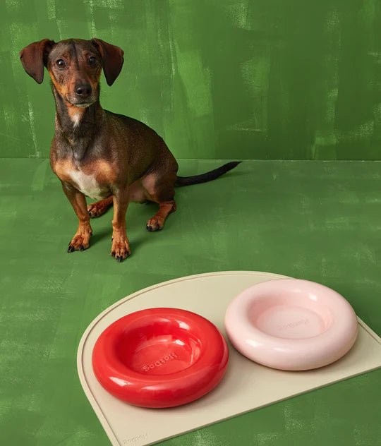 Hotdog | Gamelle en céramique artisanale jaune pour chat - Jean - Poil - Rose