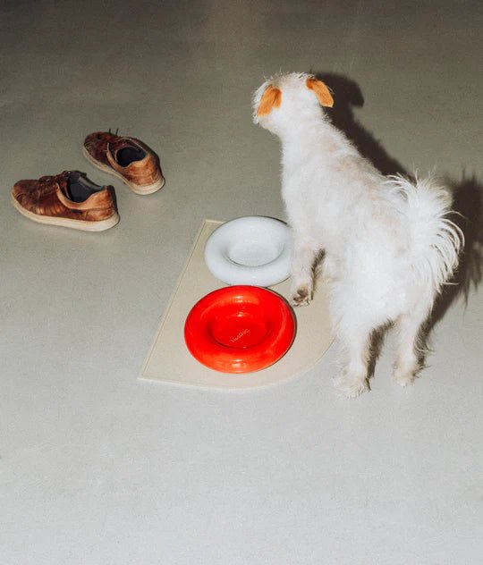Hotdog | Gamelle en céramique artisanale jaune pour chat - Jean - Poil - Rouge