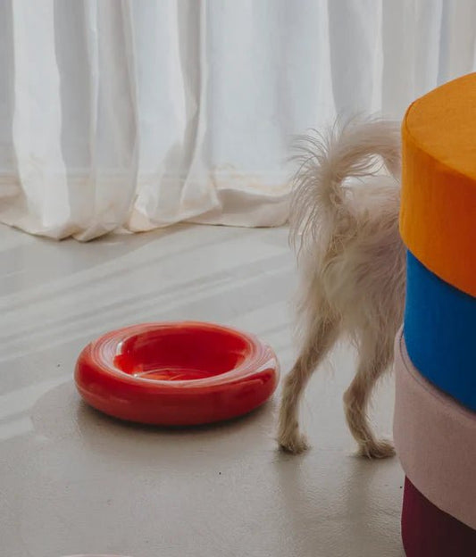 Hotdog | Gamelle en céramique artisanale jaune pour chat - Jean - Poil - Rouge