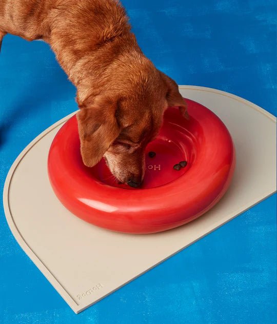 Hotdog | Gamelle en céramique artisanale jaune pour chat - Jean - Poil - Rouge