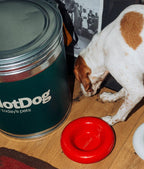 Hotdog | Gamelle en céramique artisanale jaune pour chat - Jean - Poil - Rouge