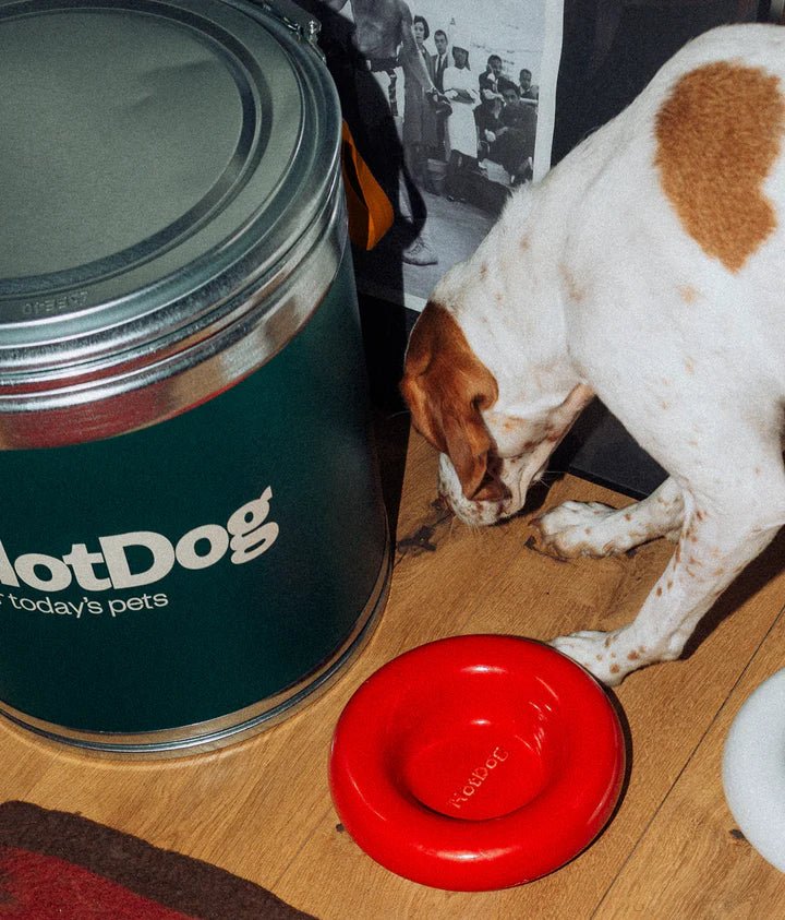 Hotdog | Gamelle en céramique artisanale jaune pour chat - Jean - Poil - Rouge
