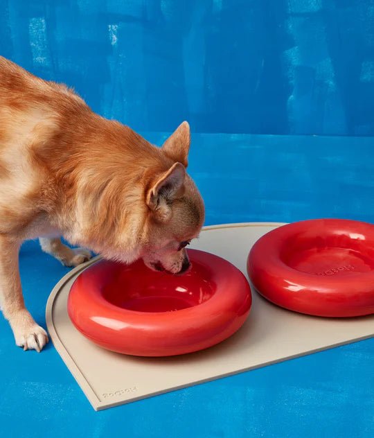 Hotdog | Gamelle en céramique artisanale jaune pour chat - Jean - Poil - Rouge