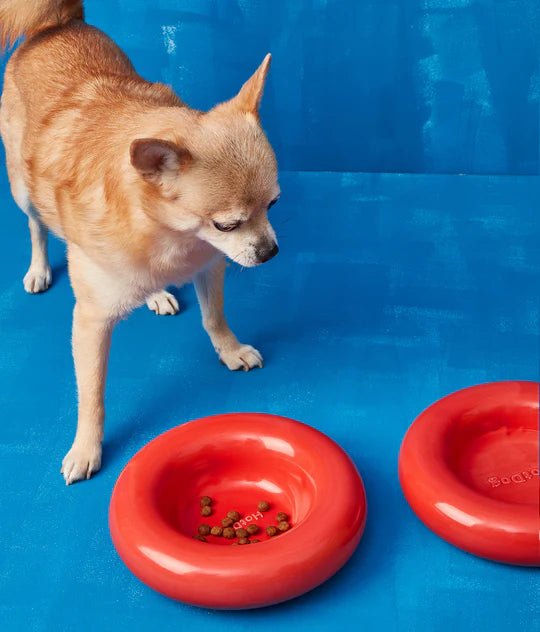 Hotdog | Gamelle en céramique artisanale jaune pour chat - Jean - Poil - Rouge