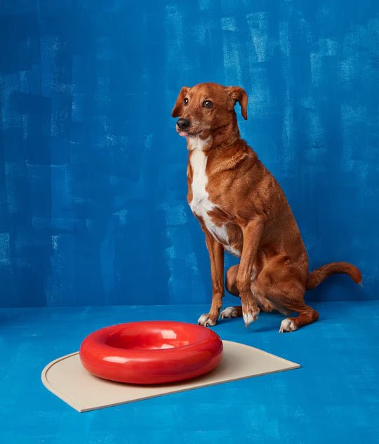 Hotdog | Gamelle en céramique artisanale jaune pour chat - Jean - Poil - Rouge