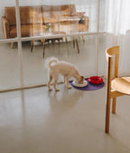 HotDog | Tapis silicone antidérapant pour gamelles - Jean - Poil - Violet