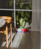 HotDog | Tapis silicone antidérapant pour gamelles - Jean - Poil - Violet