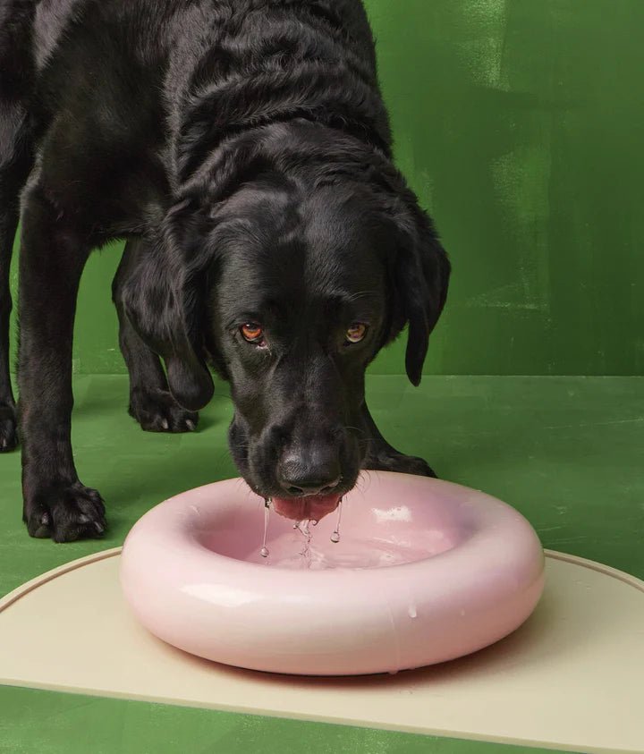 HotDog | Tapis silicone antidérapant pour gamelles - Jean - Poil - Violet