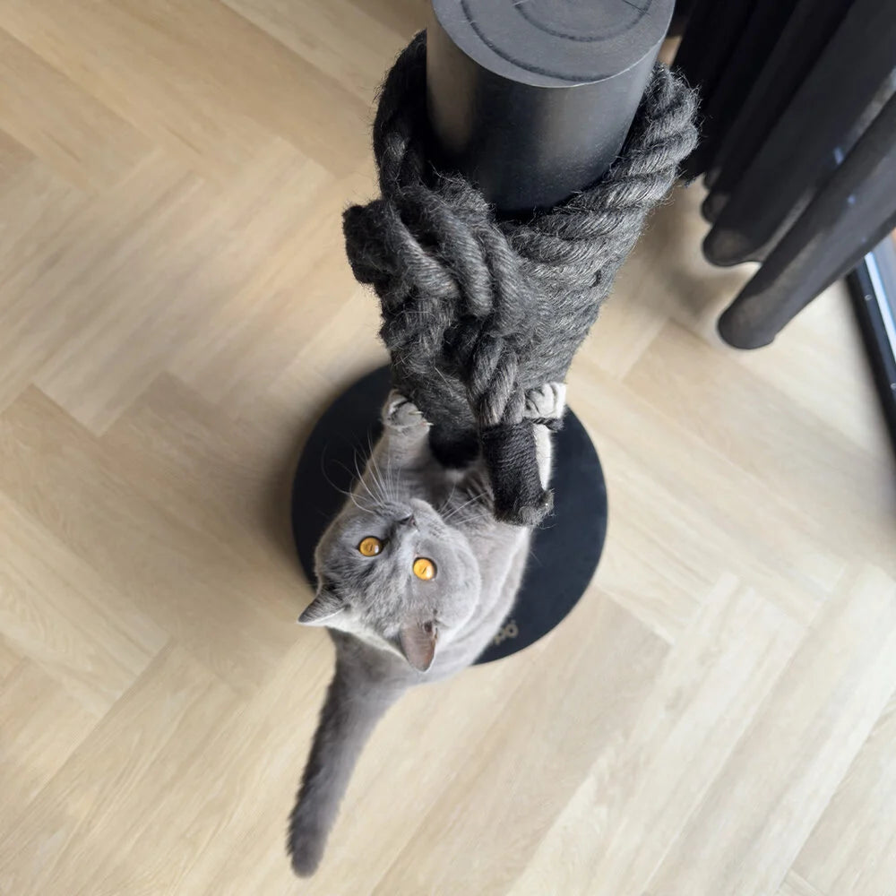 Totem | Griffoir de compétition en bois et sisal pour chat