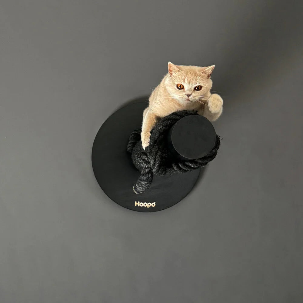 Totem | Griffoir de compétition en bois et sisal pour chat