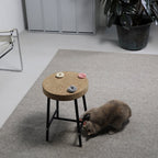 Mini Donuts | Jouets crépitants pour chat, lot de 3