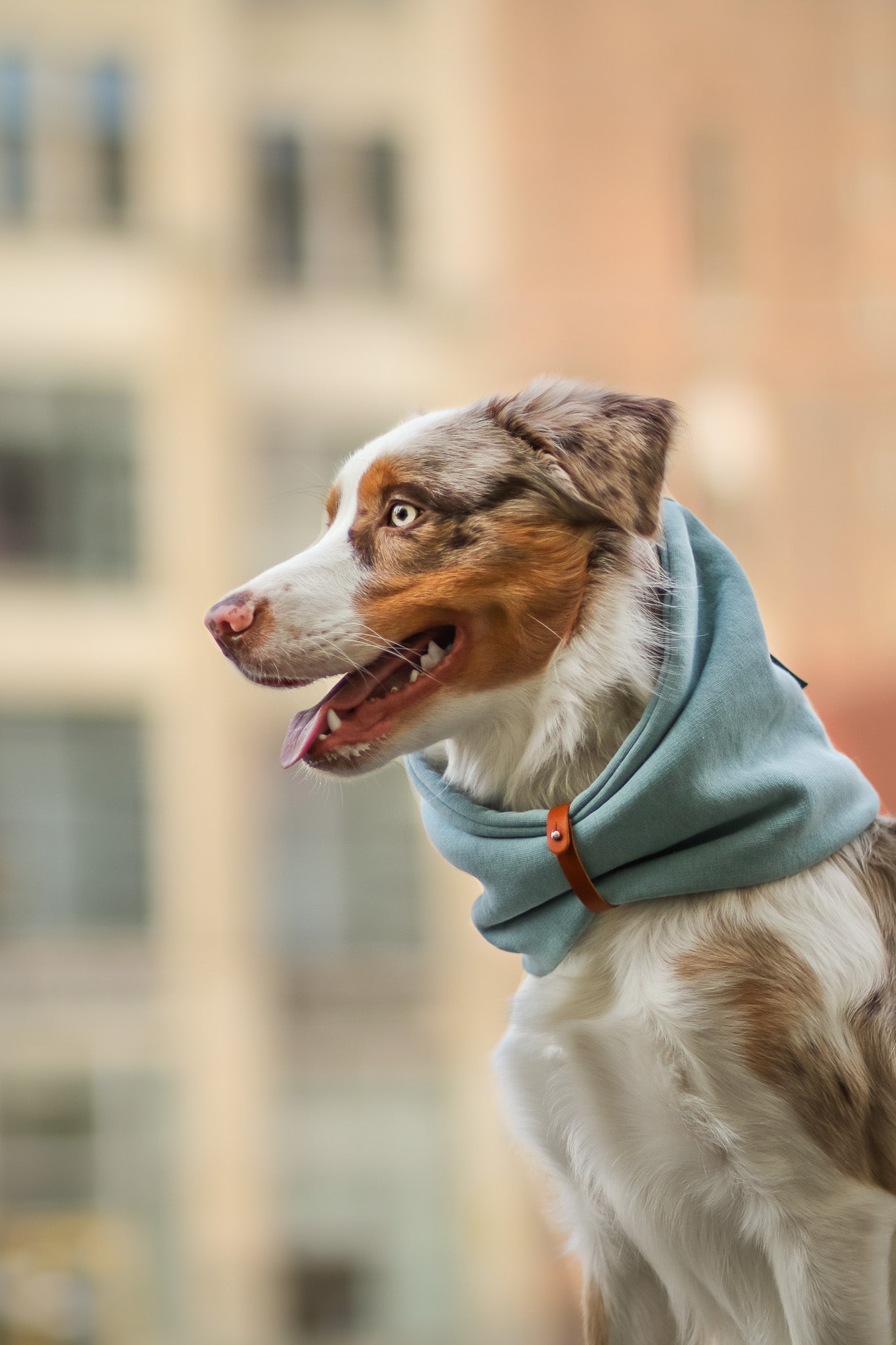 Inko | Cache - cou pour chien - Jean - Poil - Gris clair