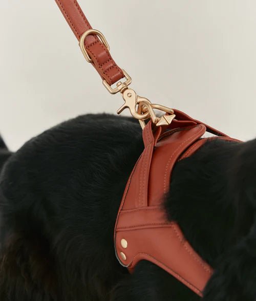 Jala | Laisse pour chien en cuir vegan durable fabriquée à la main - Jean - Poil - Marron