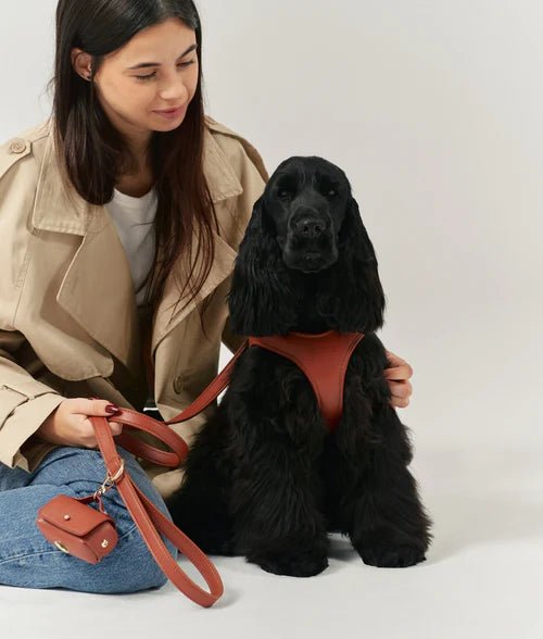 Jala | Laisse pour chien en cuir vegan durable fabriquée à la main - Jean - Poil - Marron