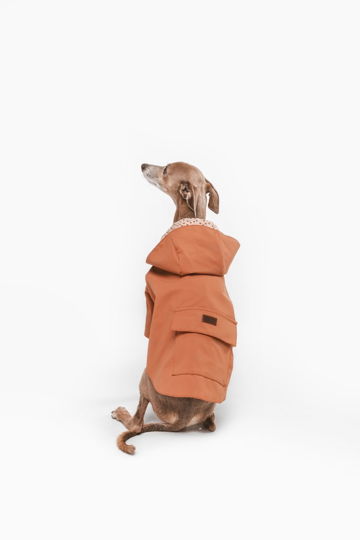 Julieta | Veste imperméable pour chien terracotta - Légère & élégante - Jean - Poil - 