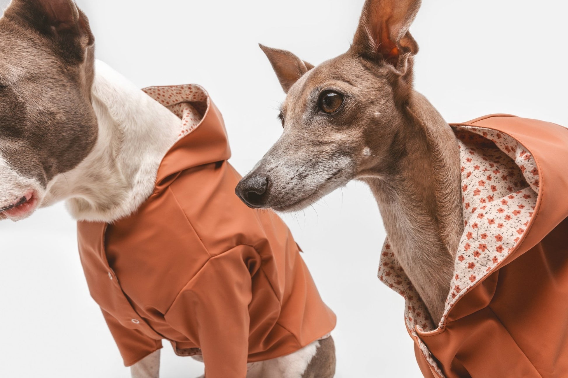 Julieta | Veste imperméable pour chien terracotta - Légère & élégante - Jean - Poil - 