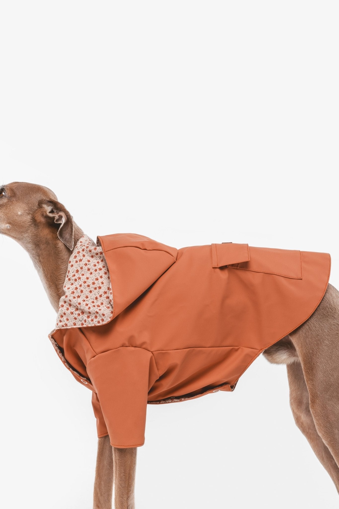 Julieta | Veste imperméable pour chien terracotta - Légère & élégante - Jean - Poil - 