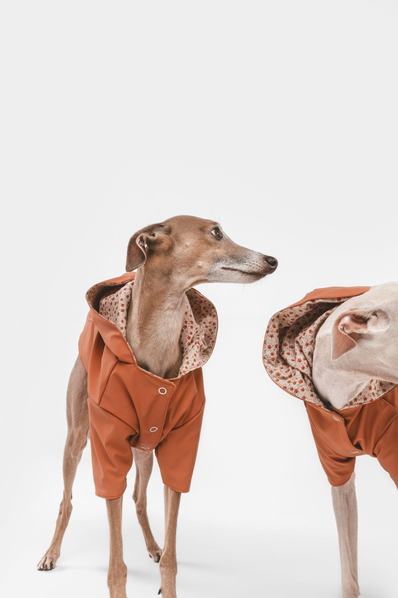 Julieta | Veste imperméable pour chien terracotta - Légère & élégante - Jean - Poil - 