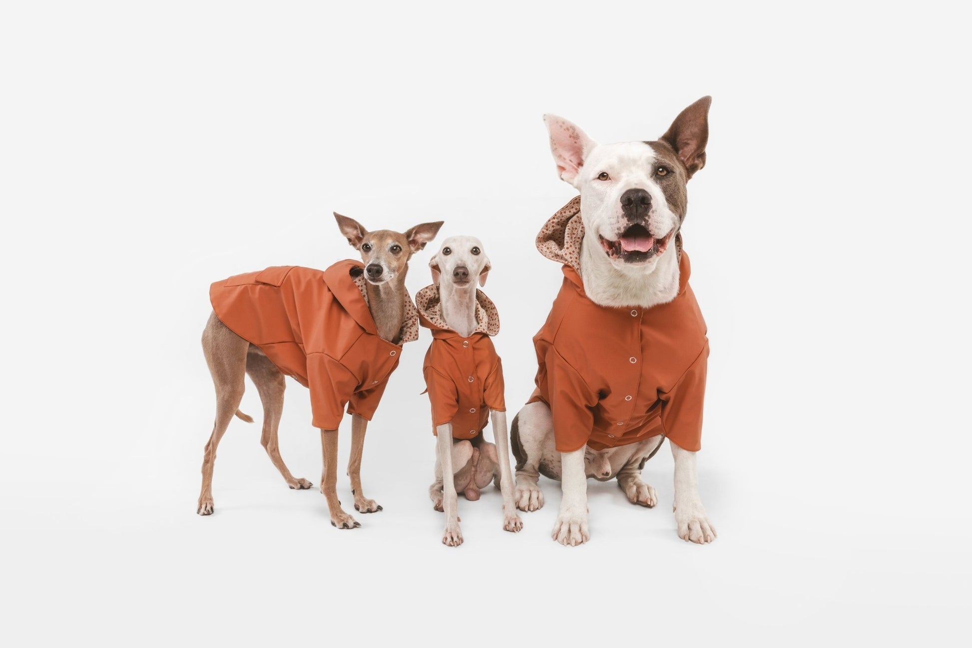 Julieta | Veste imperméable pour chien terracotta - Légère & élégante - Jean - Poil - 