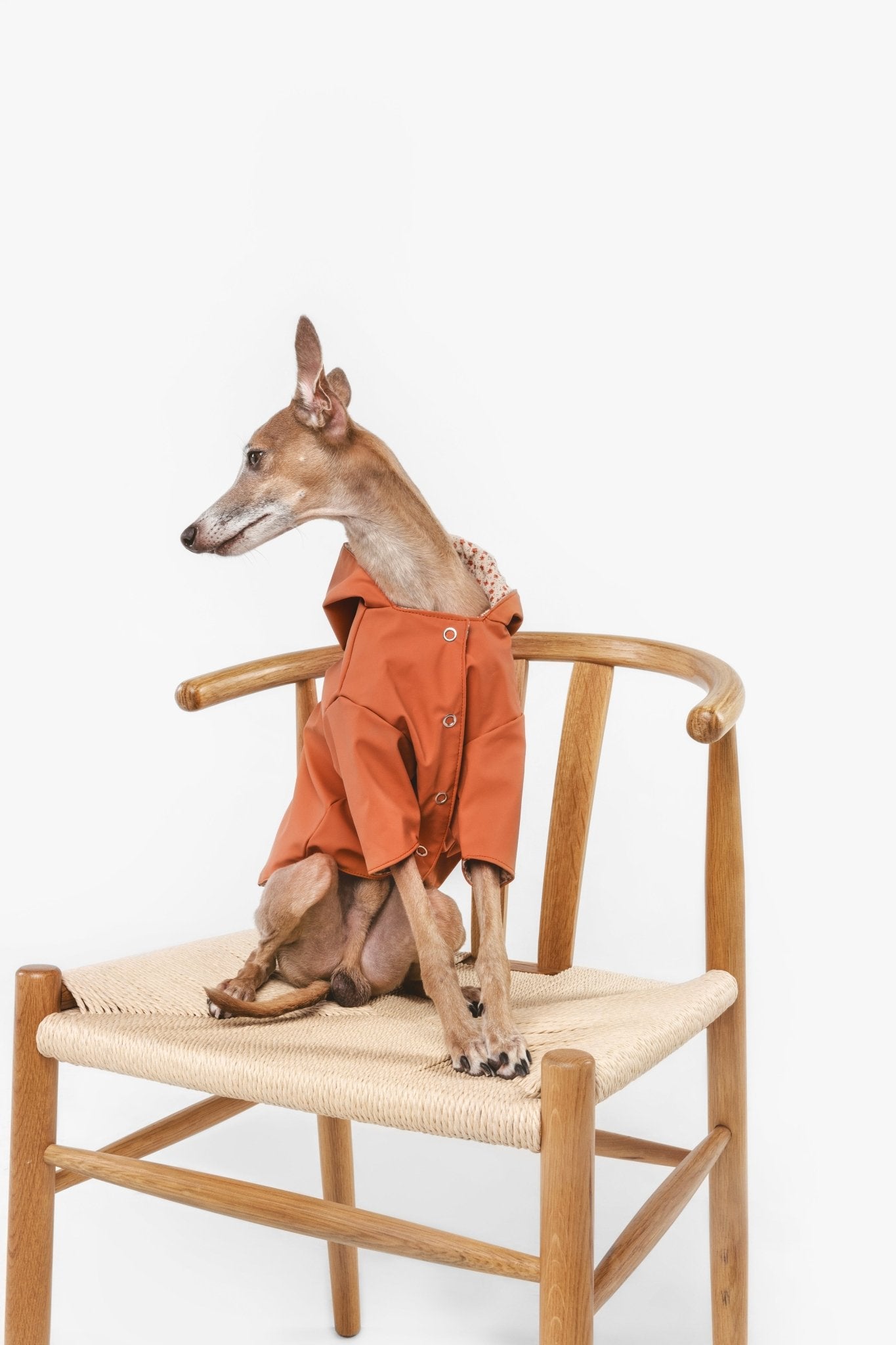 Julieta | Veste imperméable pour chien terracotta - Légère & élégante - Jean - Poil - 