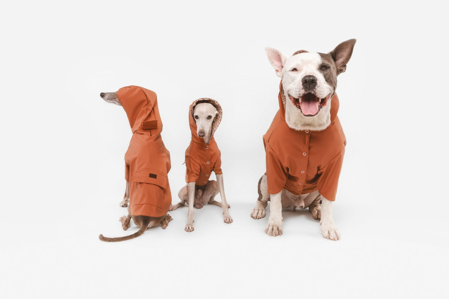 Julieta | Veste imperméable pour chien terracotta - Légère & élégante - Jean - Poil - 
