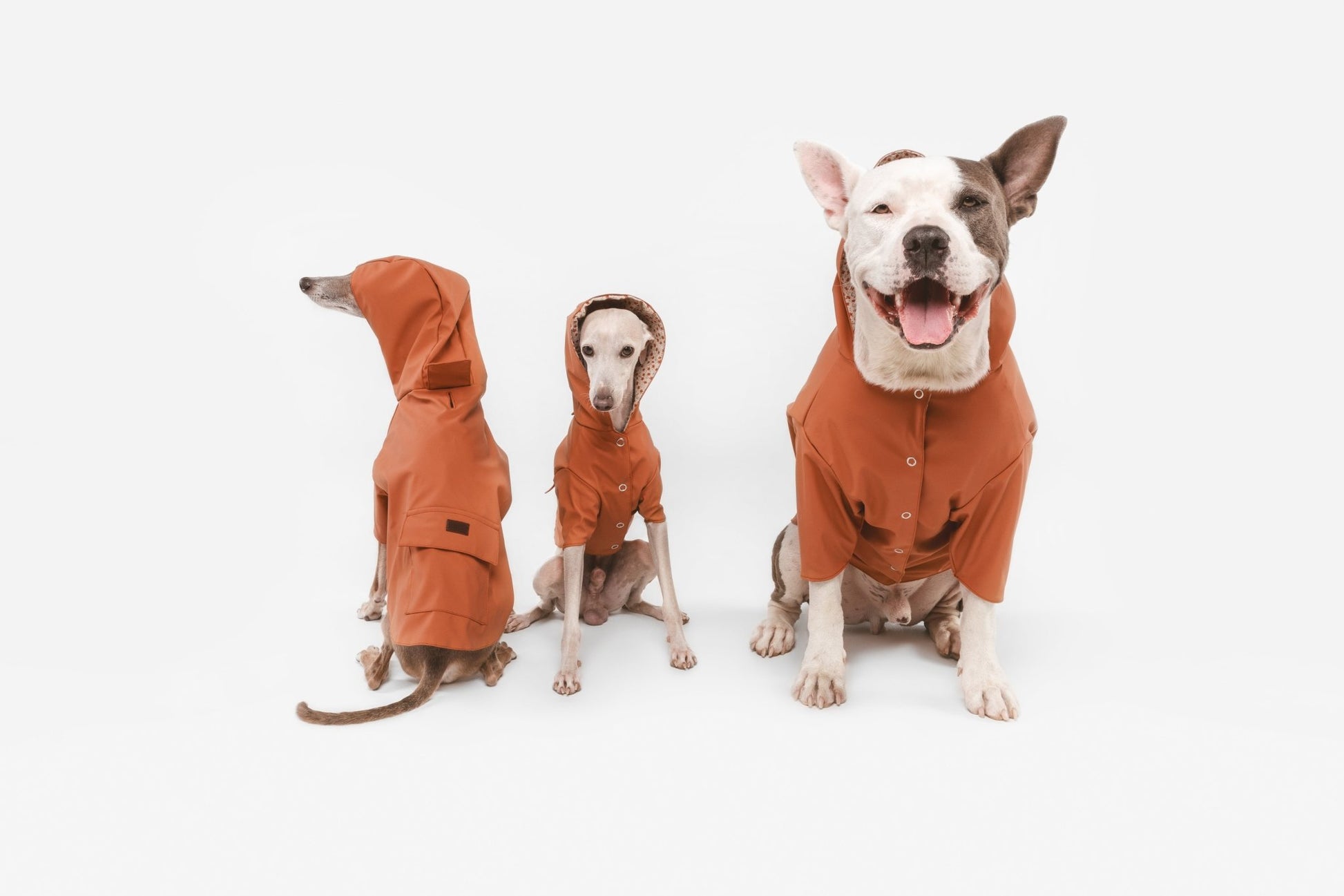 Julieta | Veste imperméable pour chien terracotta - Légère & élégante - Jean - Poil - 
