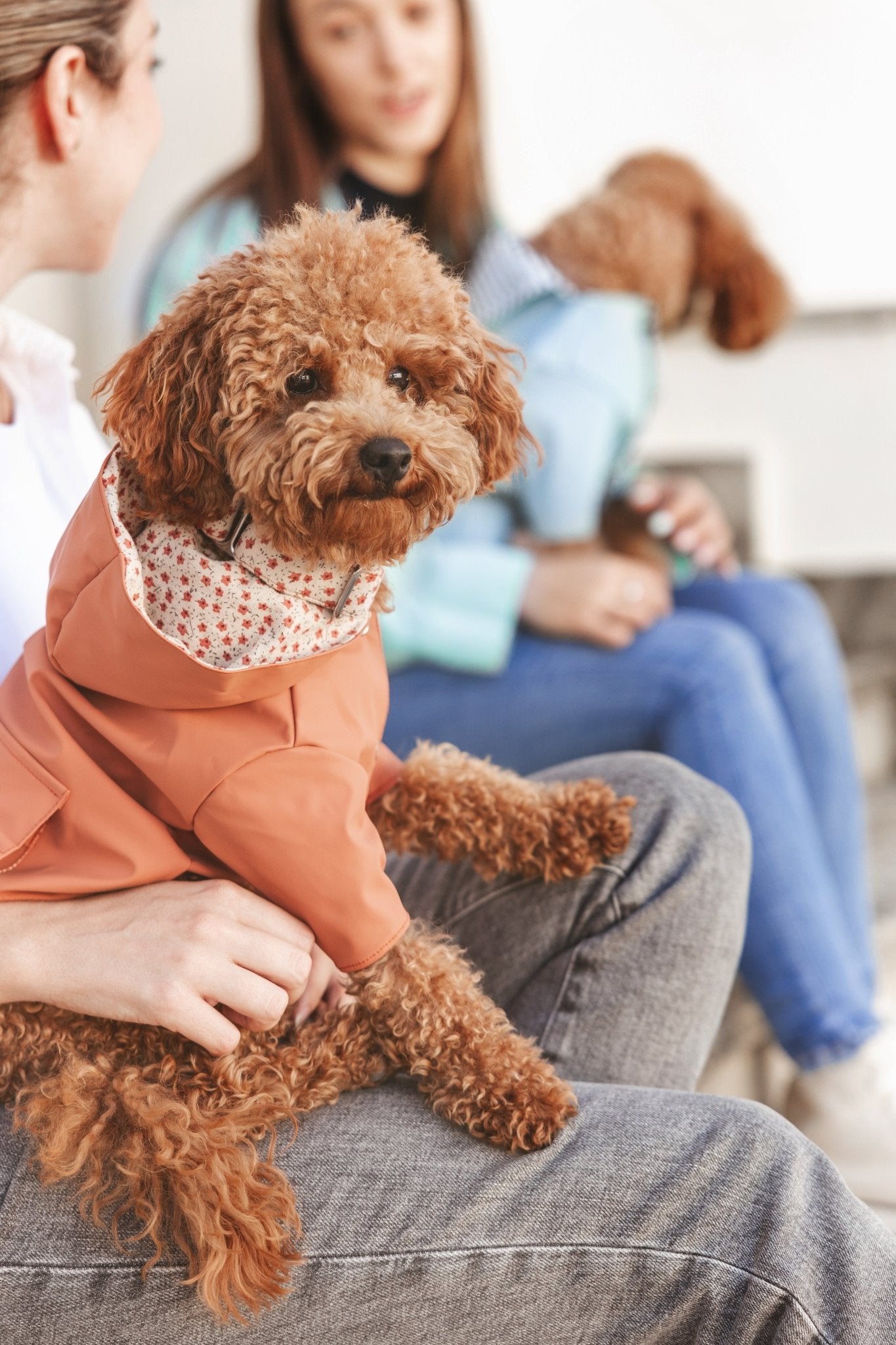 Julieta | Veste imperméable pour chien terracotta - Légère & élégante - Jean - Poil - XS