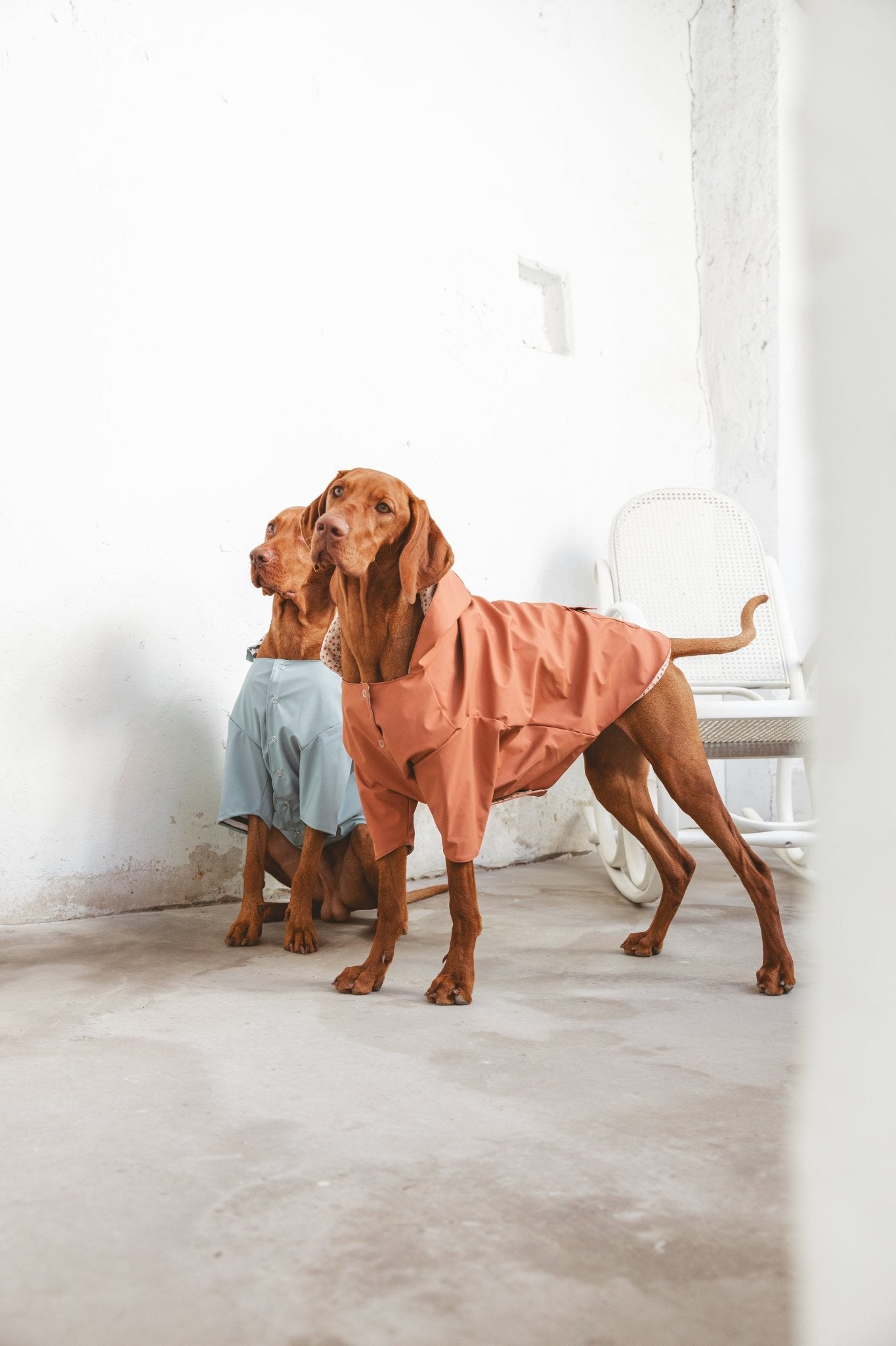 Julieta | Veste imperméable pour chien terracotta - Légère & élégante - Jean - Poil - XS