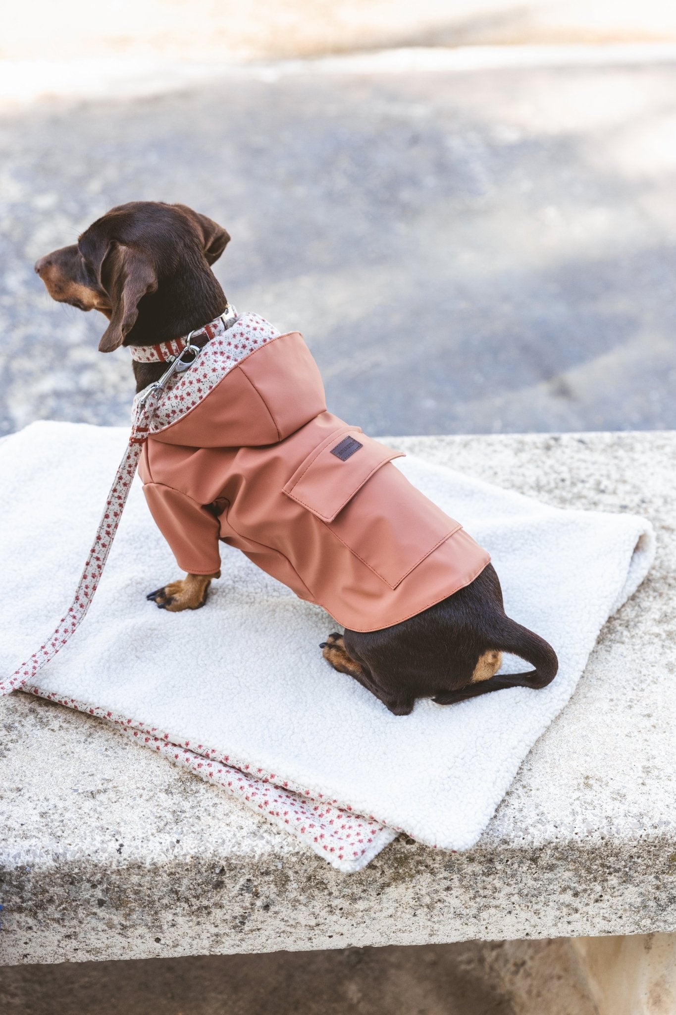 Julieta | Veste imperméable pour chien terracotta - Légère & élégante - Jean - Poil - XS