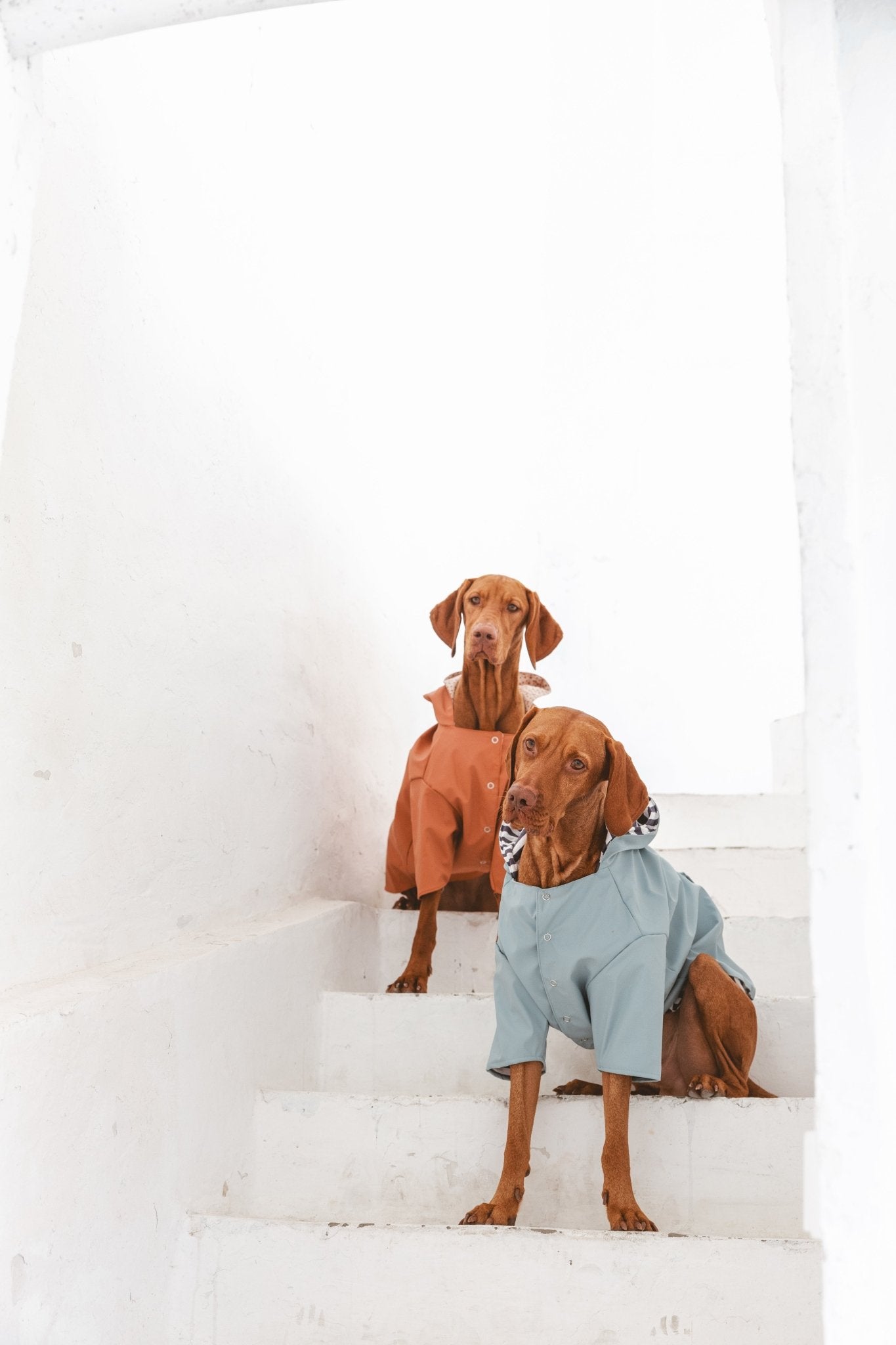 Julieta | Veste imperméable pour chien terracotta - Légère & élégante - Jean - Poil - XS