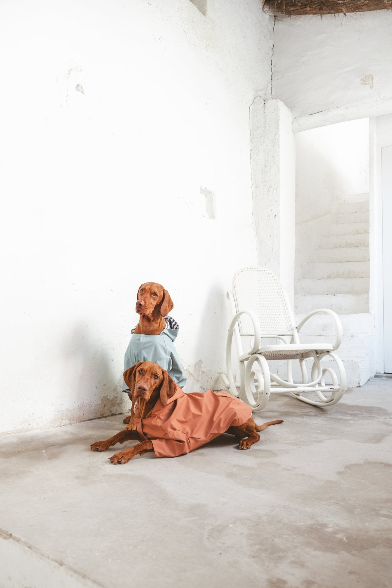 Julieta | Veste imperméable pour chien terracotta - Légère & élégante - Jean - Poil - XS