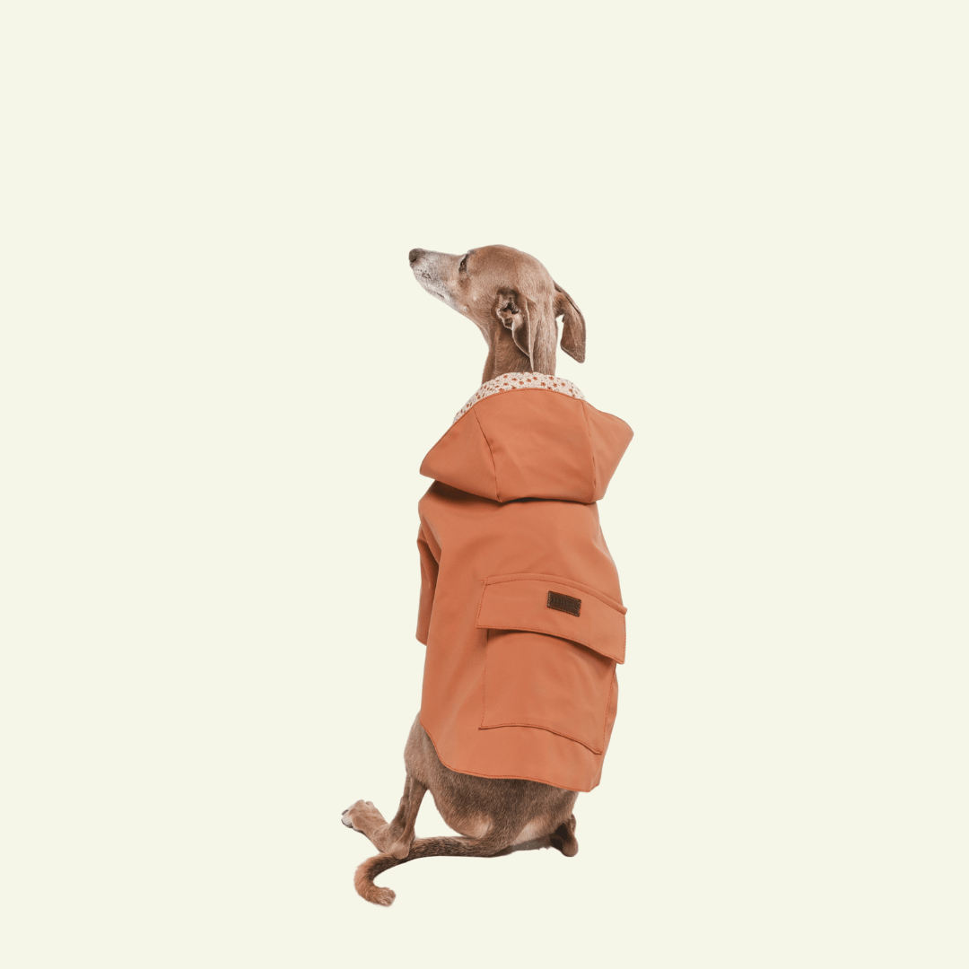 Julieta | Veste imperméable pour chien terracotta - Légère & élégante - Jean - Poil - XS