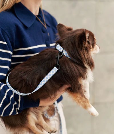 Juno | Collier pour chien en tissu recyclé PET vichy bleu – réglable et anti - frottements - Jean - Poil - 2XS