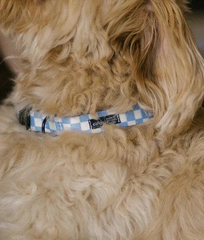 Juno | Collier pour chien en tissu recyclé PET vichy bleu – réglable et anti - frottements - Jean - Poil - 2XS