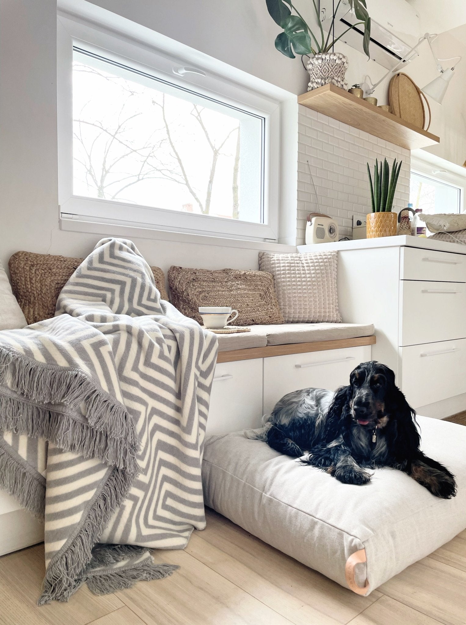 Kiima | Coussin orthopédique pour chien, housse amovible et poignée cuir - Jean - Poil - Beige
