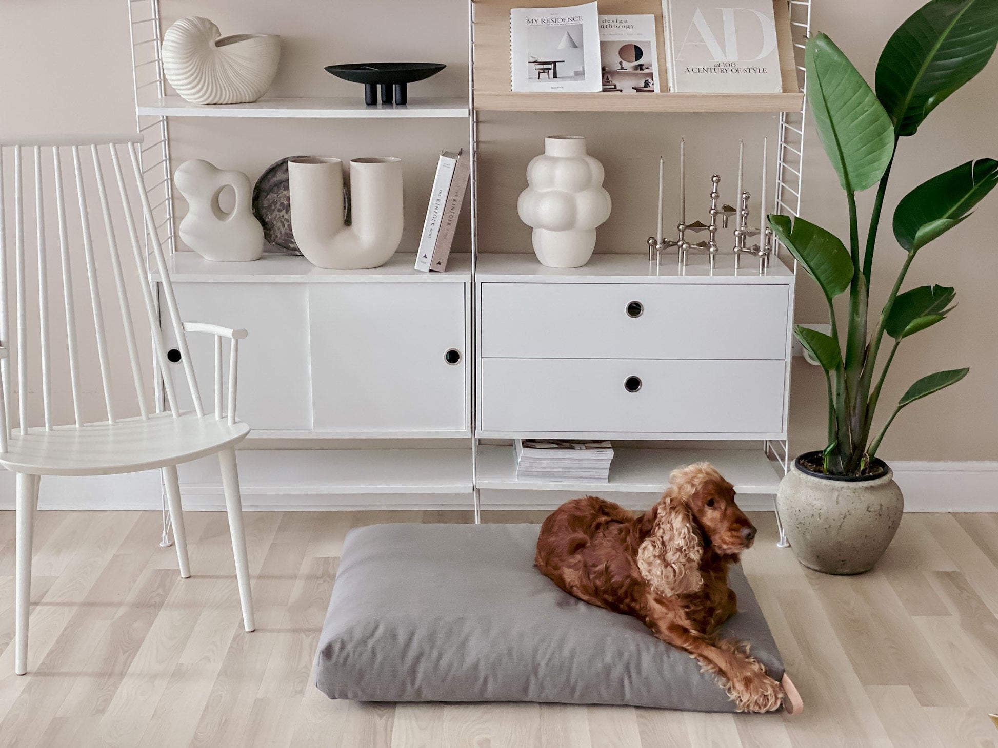 Kiima | Coussin orthopédique pour chien, housse amovible et poignée cuir - Jean - Poil - Beige