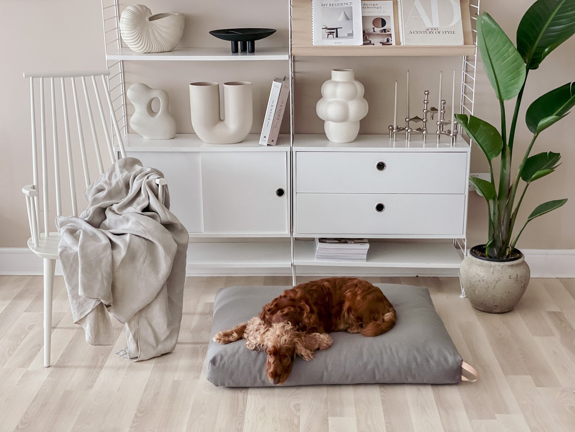 Kiima | Coussin orthopédique pour chien, housse amovible et poignée cuir - Jean - Poil - Beige