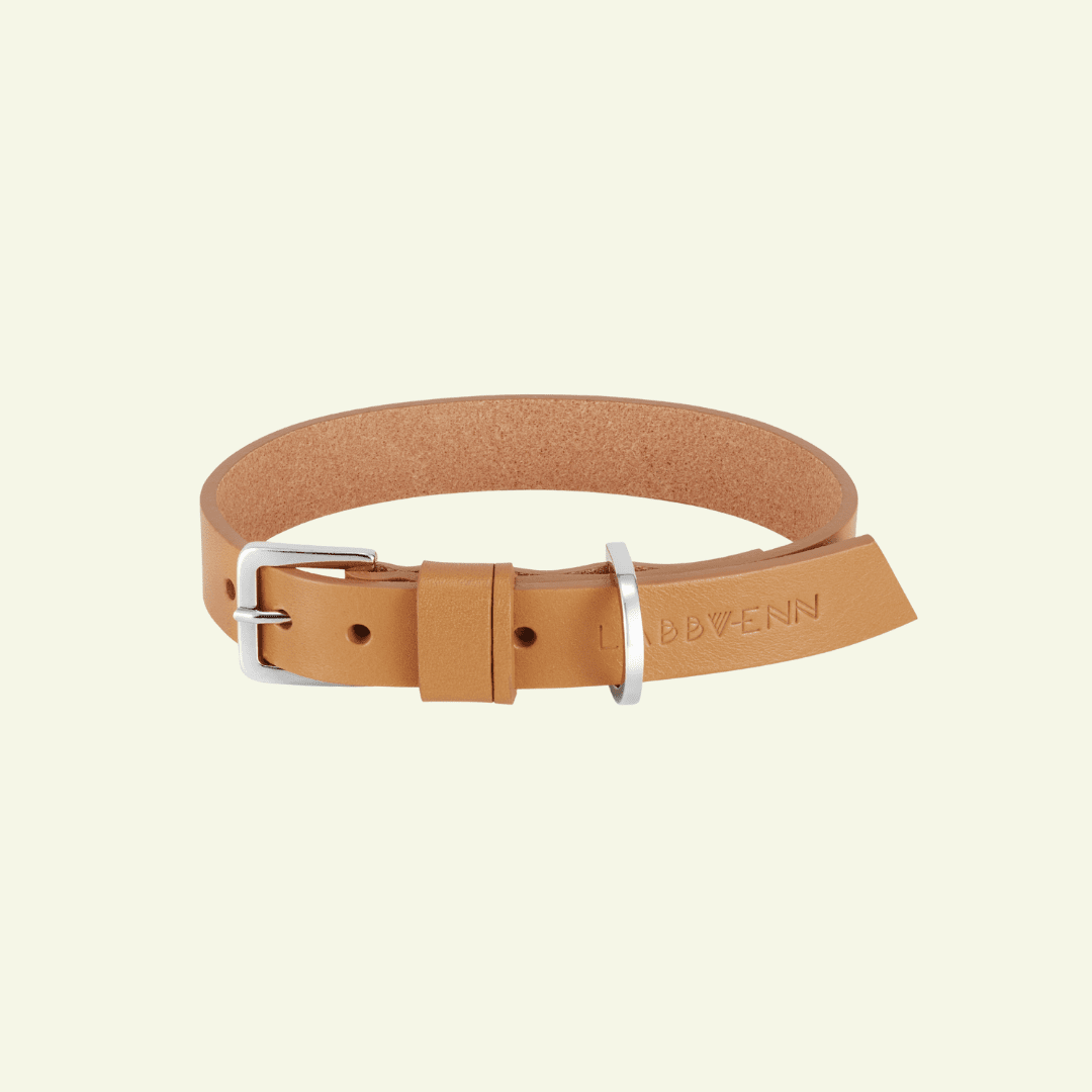 Kollu | Collier pour chien en cuir italien – Camel - Jean - Poil - XS