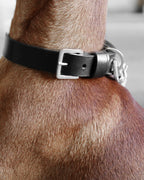 Kollu | Collier pour chien en cuir italien – Noir - Jean - Poil - XS