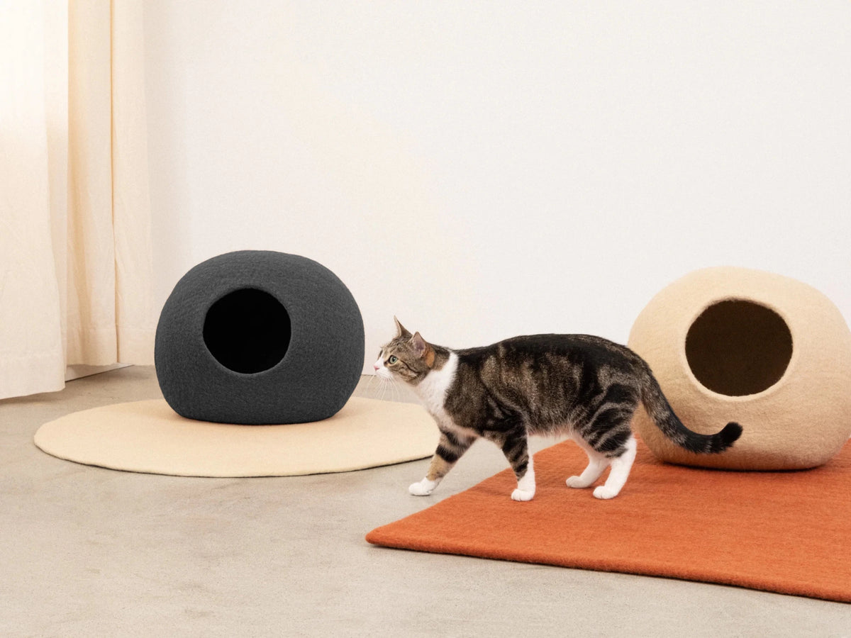 Kuno | Grotte pour chat en feutre de laine naturelle- Anthracite - Jean-Poil -
