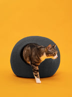 Kuno | Grotte pour chat en feutre de laine naturelle- Anthracite - Jean-Poil -