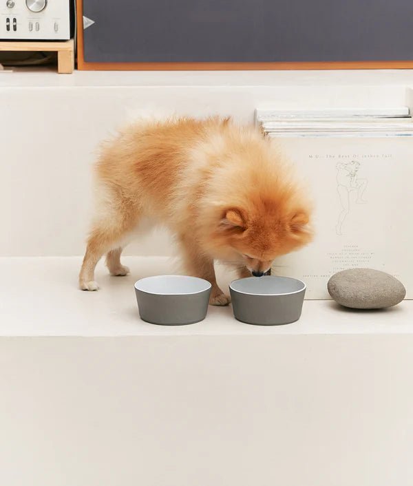Lagoa | Gamelle en écogrès pour chien et chat - Jean - Poil - Blanc
