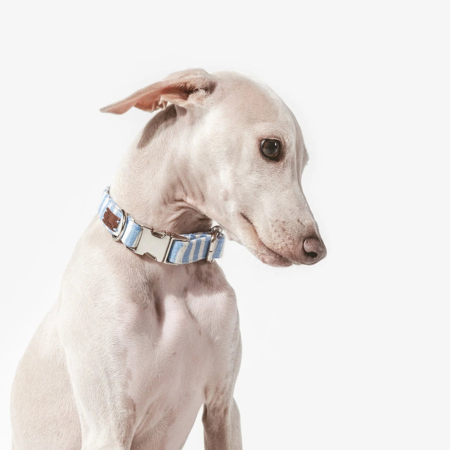 Levante | Collier pour chien à rayures estivales avec fermoir click, fait main - Jean - Poil - Bleu ciel