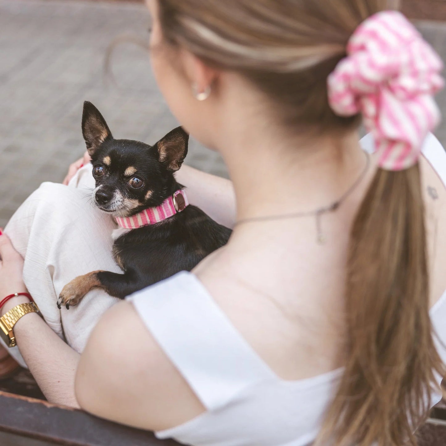 Levante | Collier pour chien à rayures estivales avec fermoir click, fait main - Jean - Poil - Bleu ciel